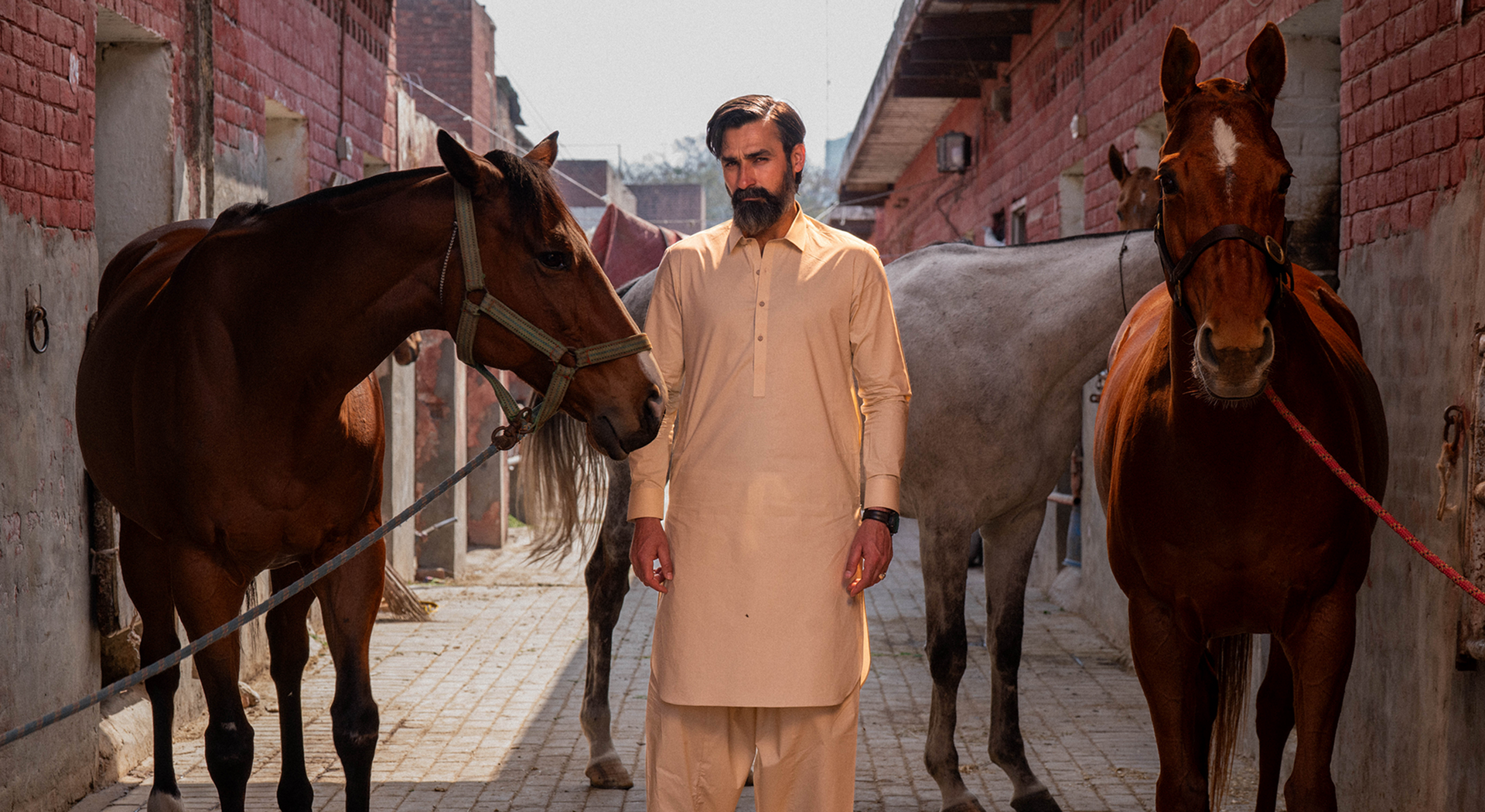 SIGNATURE COLLECTION